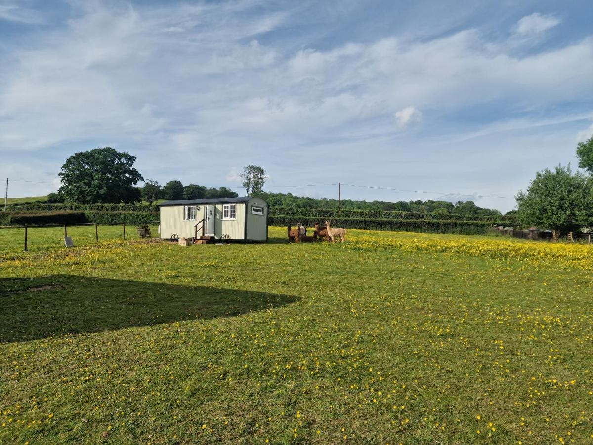 Cwtch Glamping Shepherds Huts Abergavenny ภายนอก รูปภาพ