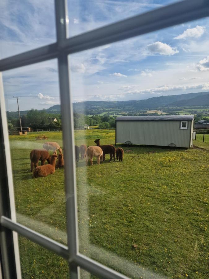 Cwtch Glamping Shepherds Huts Abergavenny ภายนอก รูปภาพ